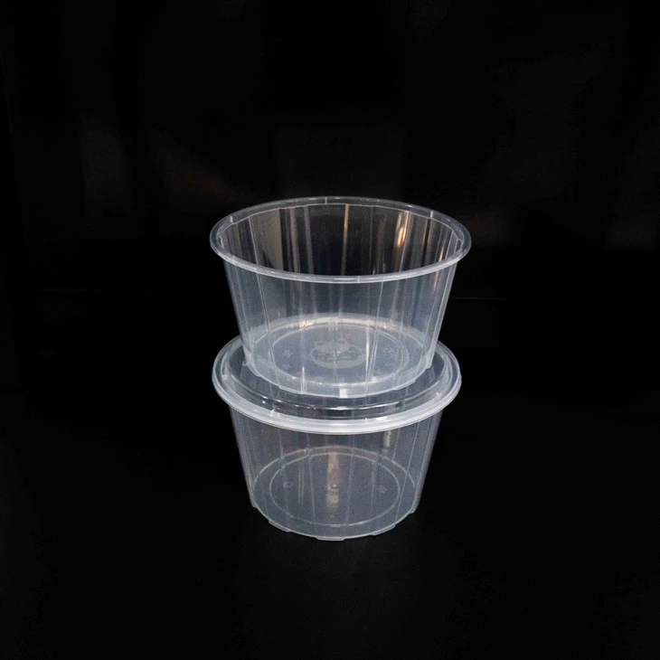 Microwave-Safe Plastic Bowls - Ready for Quick Reheating (6)